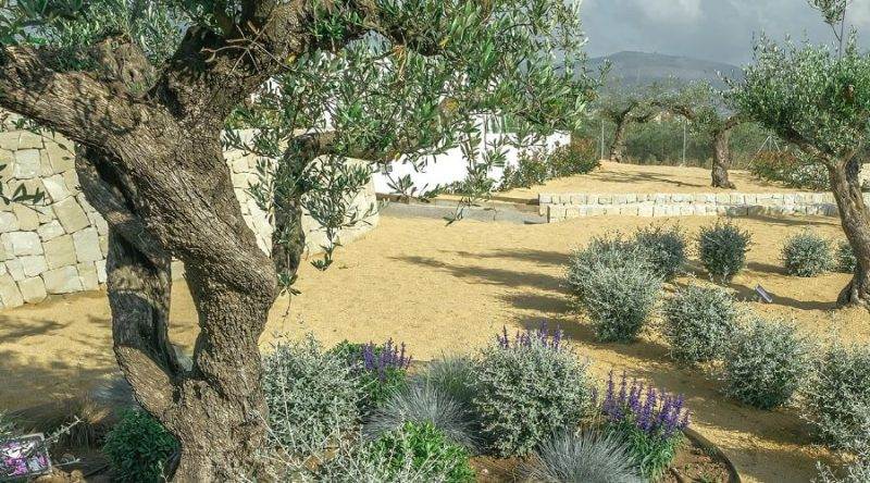 Jardin_Mediterraneo_Alicante