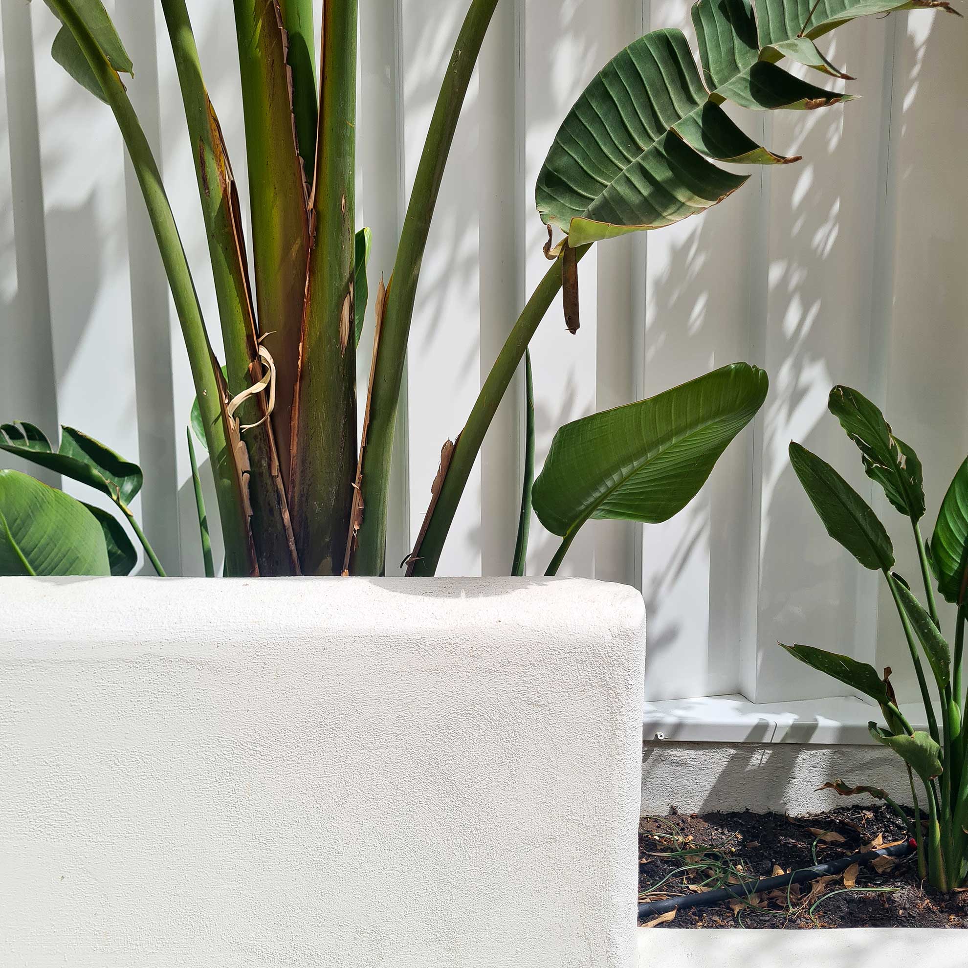 detalles reforma jardin