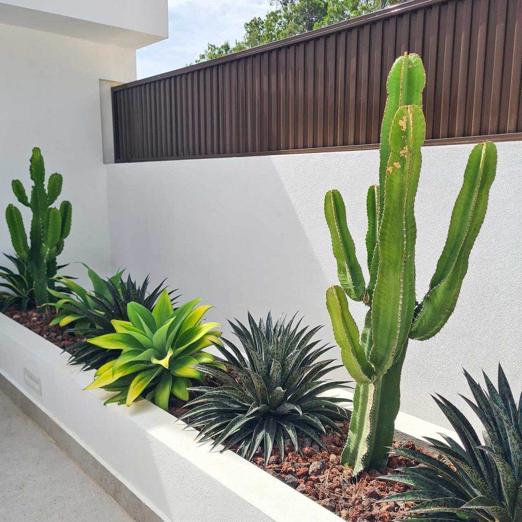 especies plantas costeras