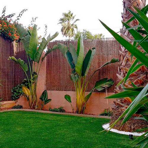 proyecto jardín tropical
